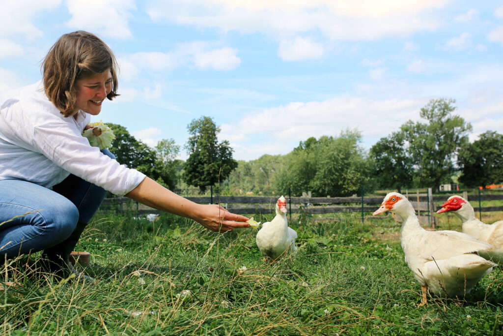 Lisa vom deutschen Tierschutzbüro füttert die Enten in ihrem Auslauf auf einer grünen Wiese.