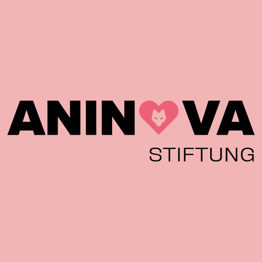 Bestimmt hast Du es schon mitbekommen: Bei uns hat sich einiges verändert. In diesem  Beitrag berichten wir Dir von der ANINOVA-Stiftung und was Du wissen musst.