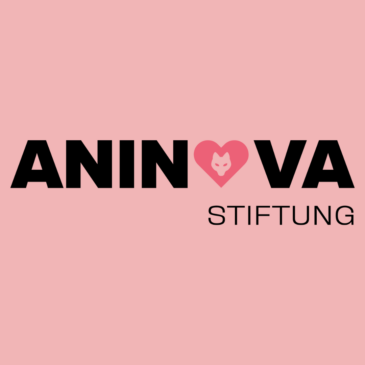 Sag Hallo zur ANINOVA-Stiftung!