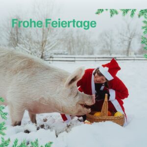 Weihnachten bei den Tieren