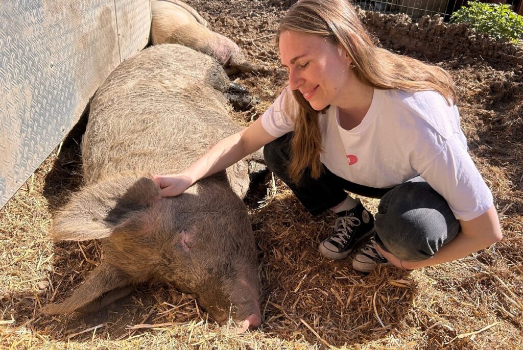 Tiere kuscheln auf dem Lebenshof